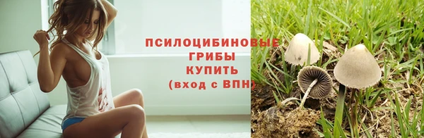 герыч Покровск