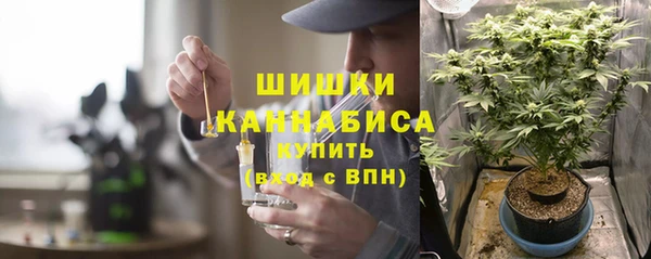 ПСИЛОЦИБИНОВЫЕ ГРИБЫ Покачи