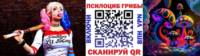 Галлюциногенные грибы MAGIC MUSHROOMS  Шилка 